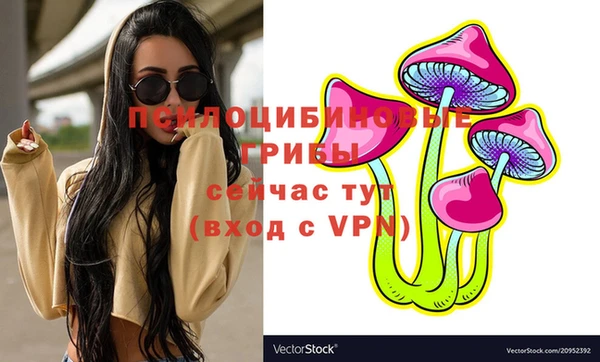 хмурый Медвежьегорск
