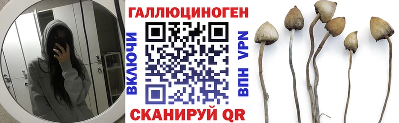 Галлюциногенные грибы MAGIC MUSHROOMS  Дятьково 