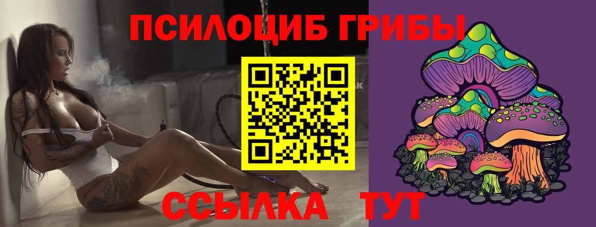 Дятьково  Галлюциногенные грибы Psilocybe  Галлюциногенные грибы мухоморы  где найти наркотики  Вход с VPN 